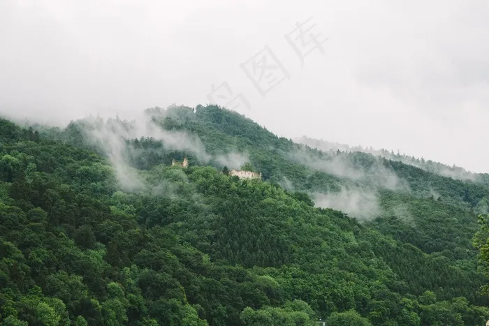 小山，森林，树木，绿色，性质，堡垒，毁了