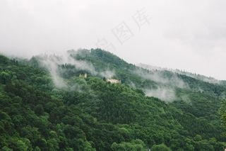 小山，森林，树木，绿色，性质，堡垒，毁了