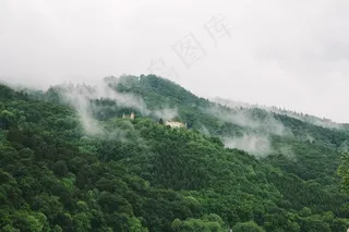小山，森林，树木，绿色，性质，堡垒，毁了