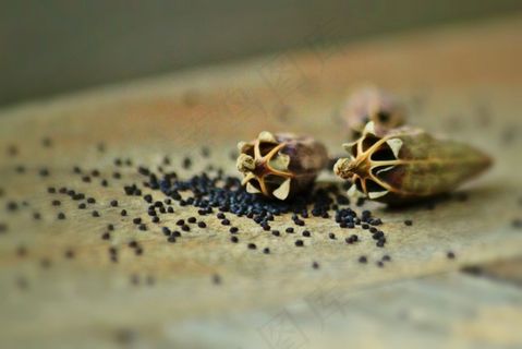 罂粟胶囊，罂粟种子，罂粟种子，罂粟