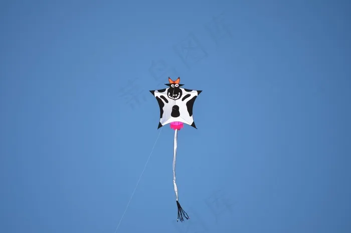 风筝，牛，动物，天空，乳房，牛动物