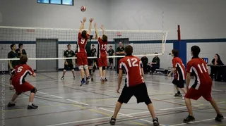 排球,篮球,NBA,敌方,篮球运动员,排球