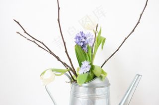 春天的花朵，装饰，春天