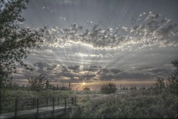 天空,卷积云,树,风景,屏幕截图,在日落时与桥和草景观