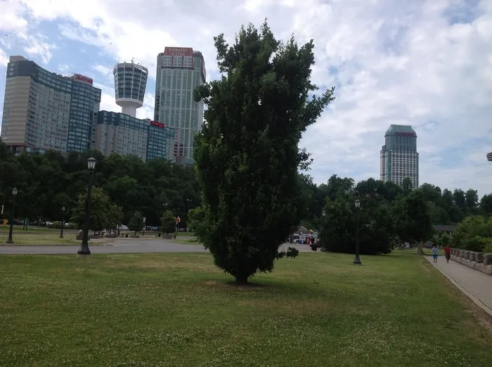 建筑物，高层，建筑，城市，摩天大楼