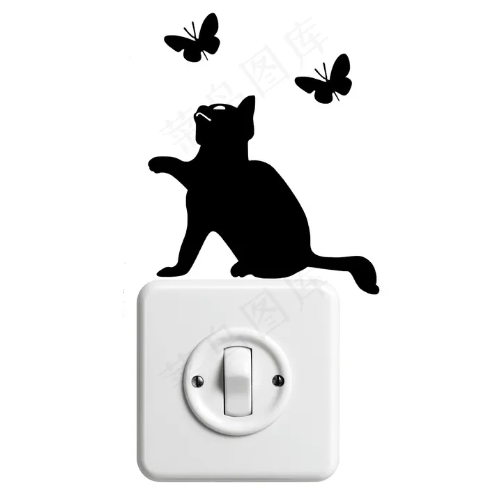 猫，小猫，宠物，家猫，猫宝宝，年轻的猫