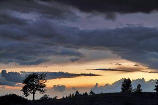 云，日落，天空，晚上，树，暴风云