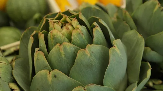 朝鲜蓟，蔬菜，绿色，厨师，市场，健康