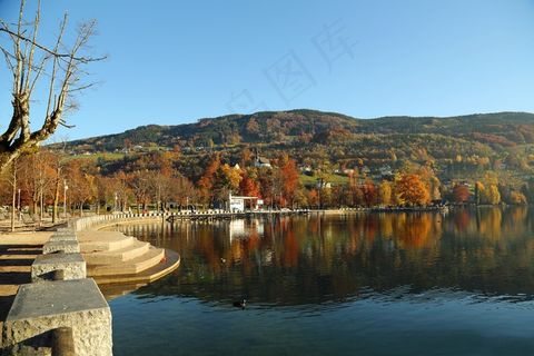 景观，大自然，蓝色，湖，海堤，叶子
