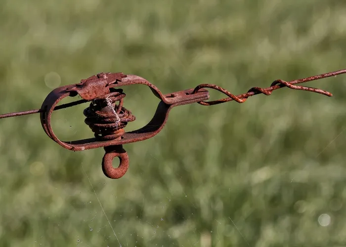 张紧器，围栏，电线，牧场围栏，金属