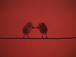 指纹，指纹，鸟类，爱情，一对，恋人