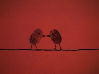 指纹，指纹，鸟类，爱情，一对，恋人