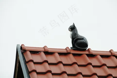 屋顶,家,屋顶,红色,山墙,猫,体系结构 屋顶,家,屋顶,红色,山墙,猫,体系结构