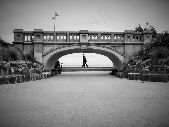 桥，海，海滨长廊，悉尼，水，湖泊，港口，Web