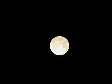 月亮,夜晚,天空,黑暗,黑色,月光,场景 月亮,夜晚,天空,黑暗,黑色,月光,场景