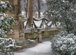 巴黎，法国，冬天，雪，树木，建筑