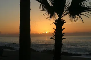 日出，棕榈，热带，卡波，墨西哥，海滩，海洋