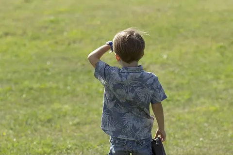 男孩，草地，寻找，自然，快乐，草，儿童