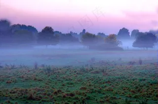 大多数，早期，早晨，天空，自然，心情，Morgenstimmung