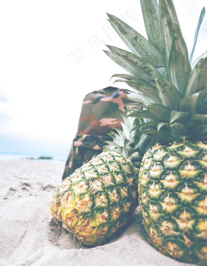 菠萝，海滩，背包，野餐，休闲，水果