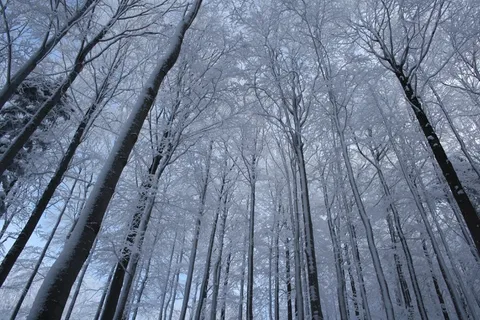 冬天,Pustevny,Beskydy,雪 冬天,Pustevny,Beskydy,雪