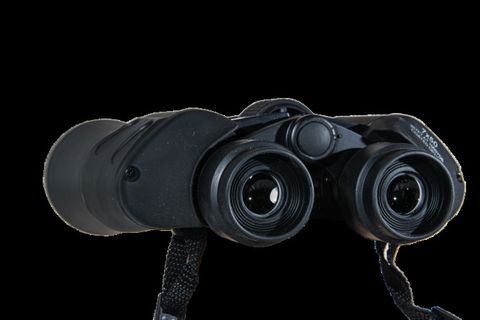 双筒望远镜，远见，望远镜，手表，视觉
