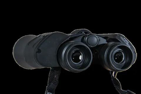 双筒望远镜，远见，望远镜，手表，视觉