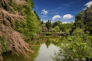 土耳其，树，自然土耳其，伊斯坦布尔，景观