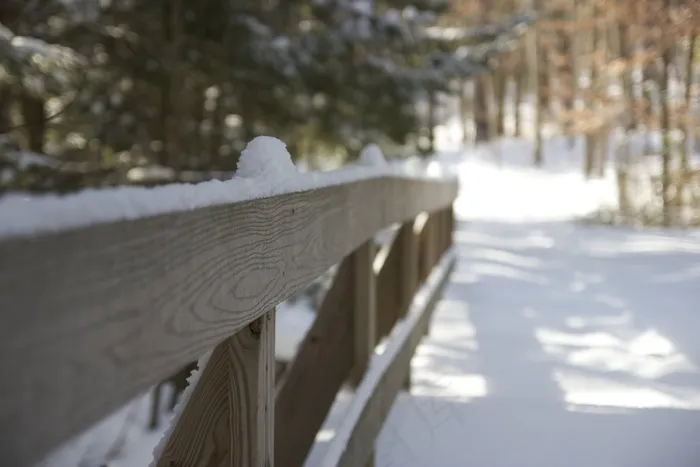 篱笆，冬天，雪，焦点，模糊，背景