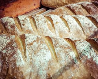 面包，食品，面包店，新鲜，烤