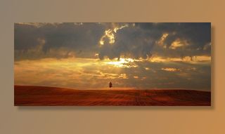 景观，自然，日落，场，树，天空，云