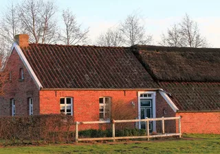 东弗里西亚，费恩之家，农业，牲畜，直播