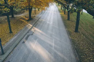公路,城市街道,街道,村道,白杨树,秋天的树木之间的路