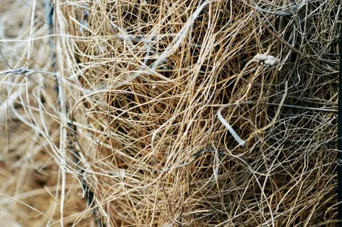 稻草,纹理,图案,自然,自然,设计 稻草,纹理,图案,自然,自然,设计