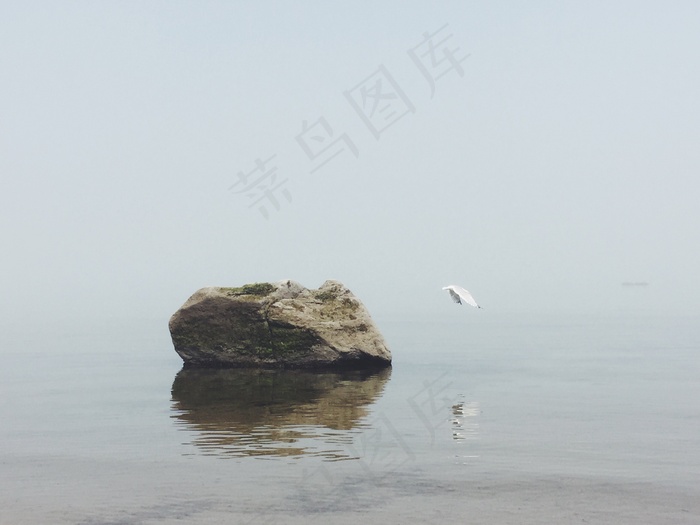 海洋，鸟，海鸥，沧海，性质，水，夏天，海滩