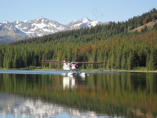水上飞机，加拿大，湖泊，山脉，森林，飞