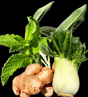 薄荷，姜，茴香，鼠尾草