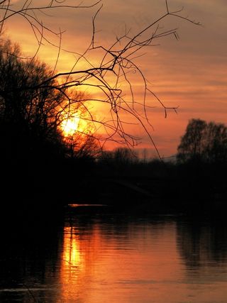 太阳，傍晚，日落，天空，美丽，橙色，水