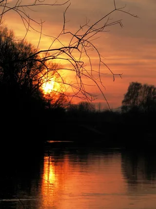 太阳，傍晚，日落，天空，美丽，橙色，水