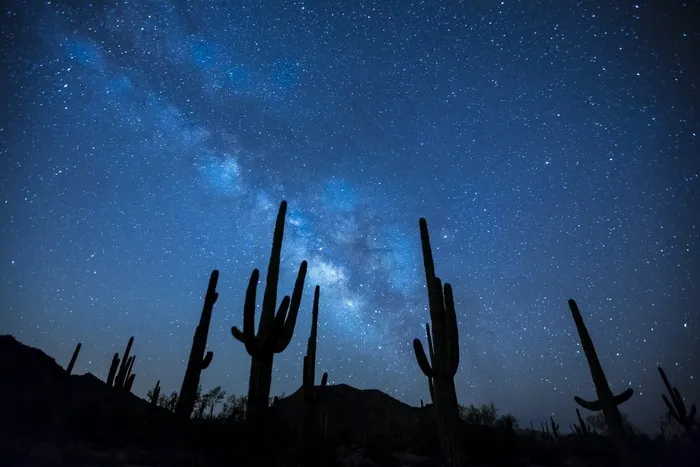银河，星星，夜，天空，景观，沙漠，仙人掌