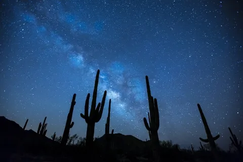 银河,星星,夜,天空,景观,沙漠,仙人掌 银河,星星,夜,天空,景观,沙漠,仙人掌