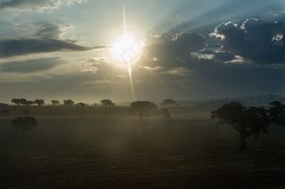 轿车,天空,风景,街道,霞光,黎明自然日落太阳