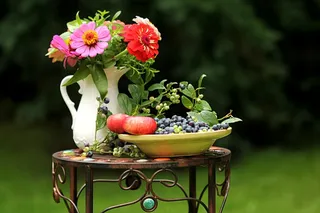 夏天印象，鲜花，水果，静物，花园