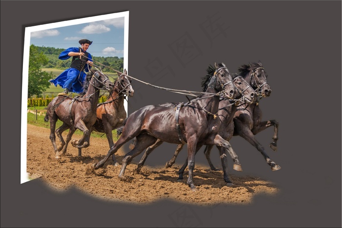 越界，图像编辑，马，匈牙利普茨塔
