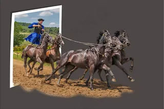 越界，图像编辑，马，匈牙利普茨塔