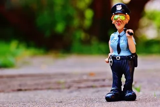 女警察，搞笑，无花果，警察