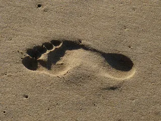 沙，海滩，痕迹，沙中的痕迹