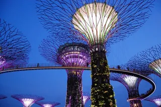 滨海湾花园，滨海湾，新加坡，雕塑