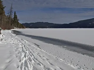 冬季，风光，树木，冷，雪，景观，冻结