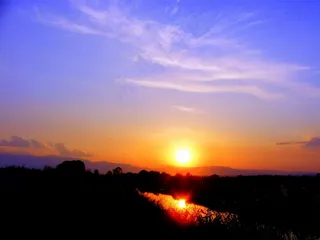 日落，太阳，水，天空，红色，甘蔗，橙色，火